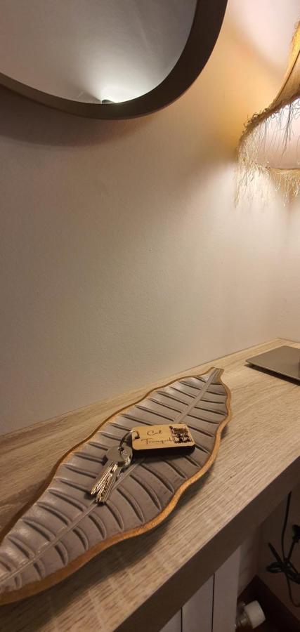 شقة Cal Tranquil Camprodon, Acollidor Atic Al Centre المظهر الخارجي الصورة
